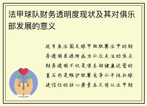 法甲球队财务透明度现状及其对俱乐部发展的意义